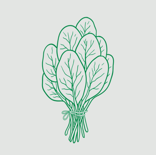 Image of a Bundle of Spinach Leaves